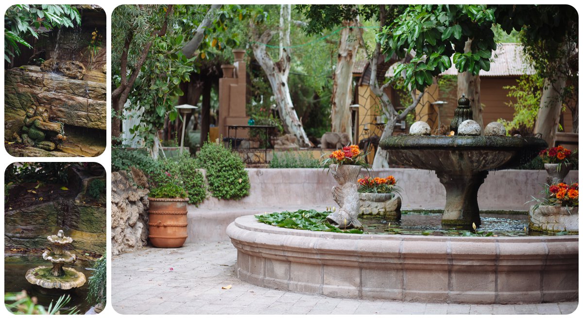 Scottsdale Wedding Photographer