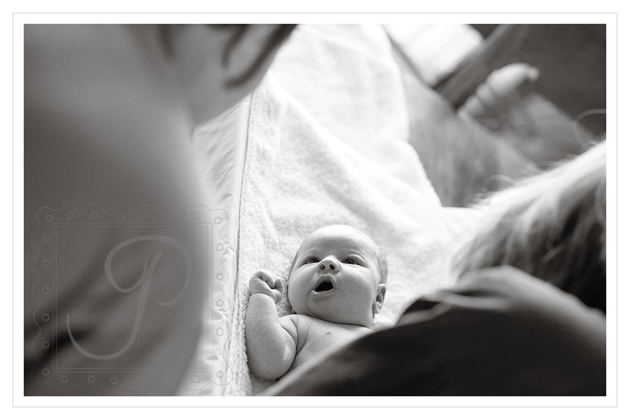 Montana Newborn Photography