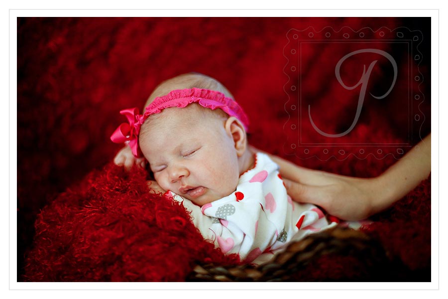 Montana Newborn Photography