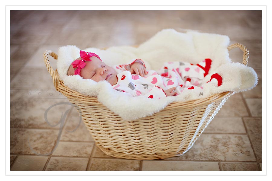 Montana Newborn Photography