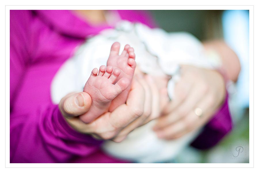 Montana Newborn Photography